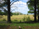PICTURES/Kendrick Wildlife Trail/t_Pretty Meadow.JPG